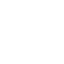 Election Polling icon