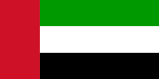 United Arab Emirates Market Research - flag of United Arab Emirates