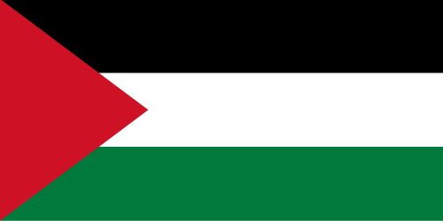 Palestine Market Research - flag of Palestine